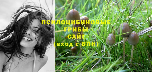 ECSTASY Балабаново